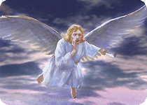 angel flying